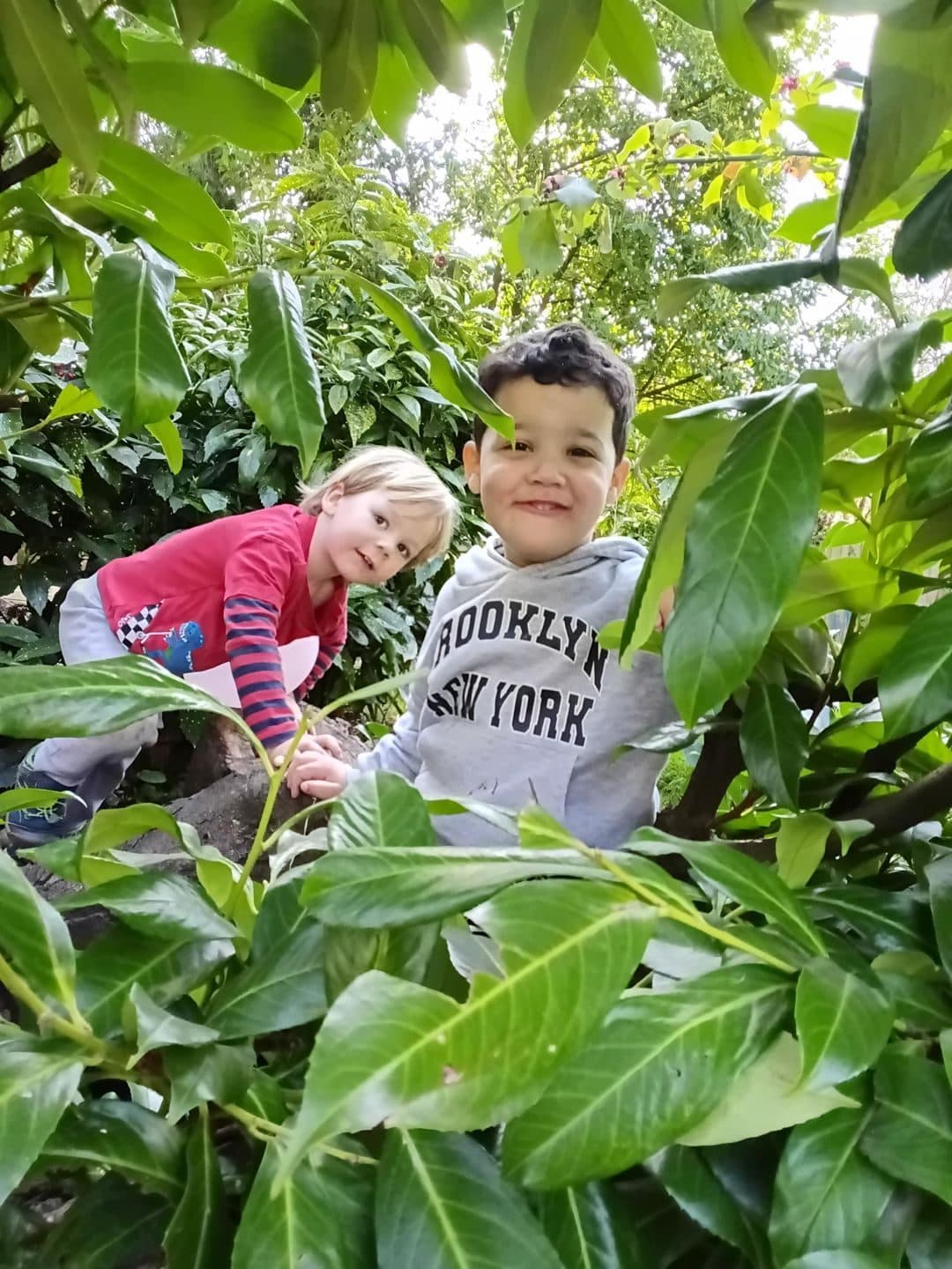 The manor house nursery westbury on trym bristol exploring