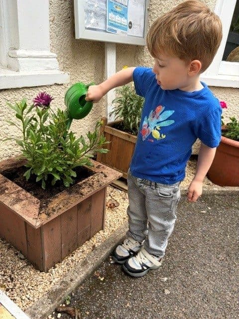The manor house nursery westbury on trym bristol watering