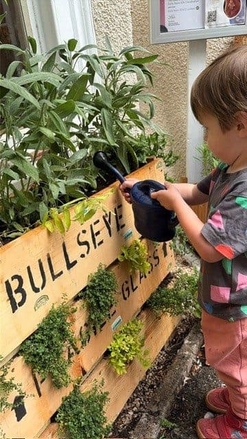 The manor house nursery westbury on trym bristol watering