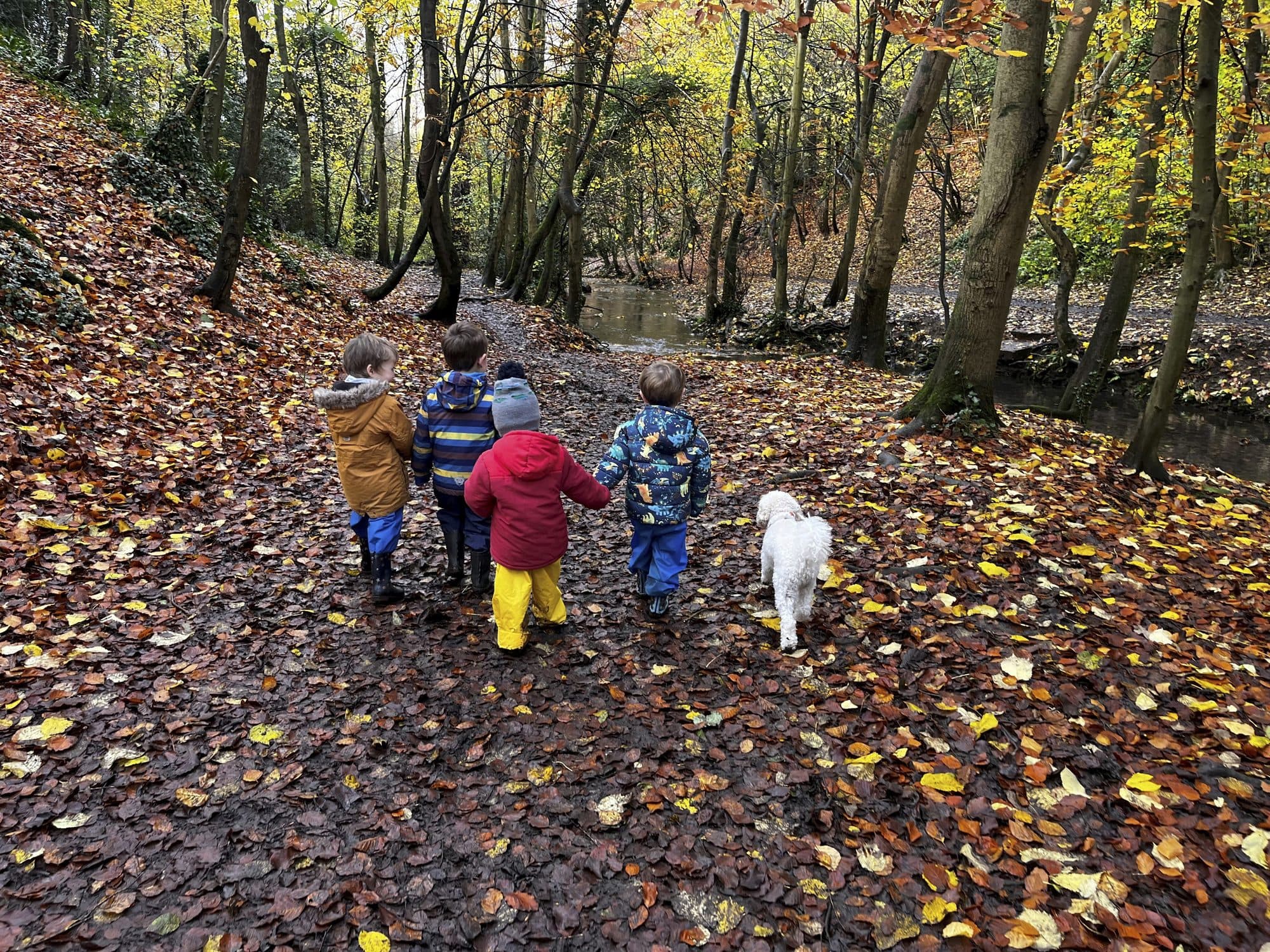 Children on a woodland walk in their wellies with The Manor House Nursery, Bristol